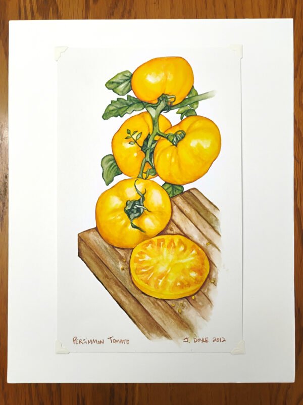 Persimmon Tomato - Original Watercolor Painting - Image 2