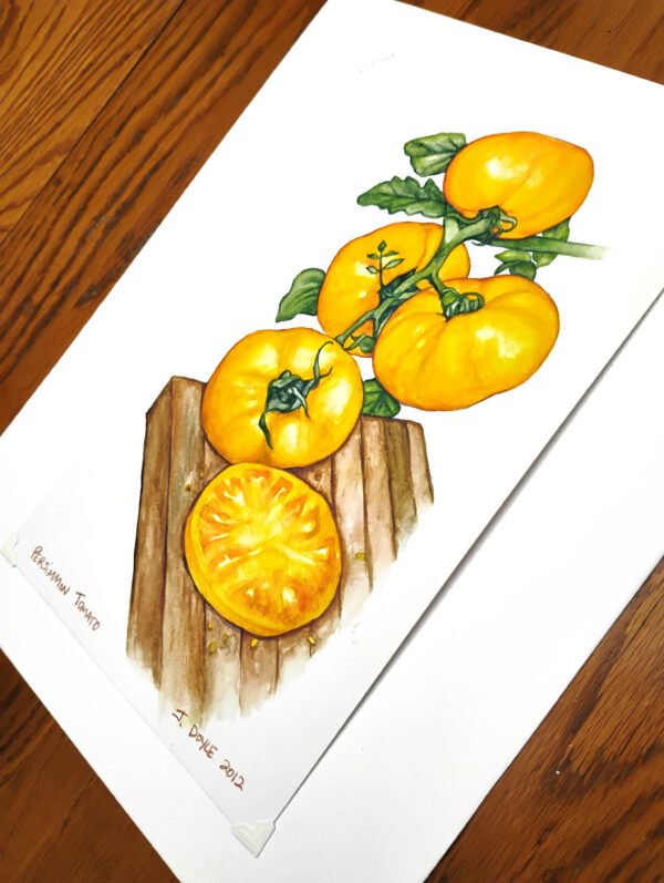 Persimmon Tomato - Original Watercolor Painting - Image 4