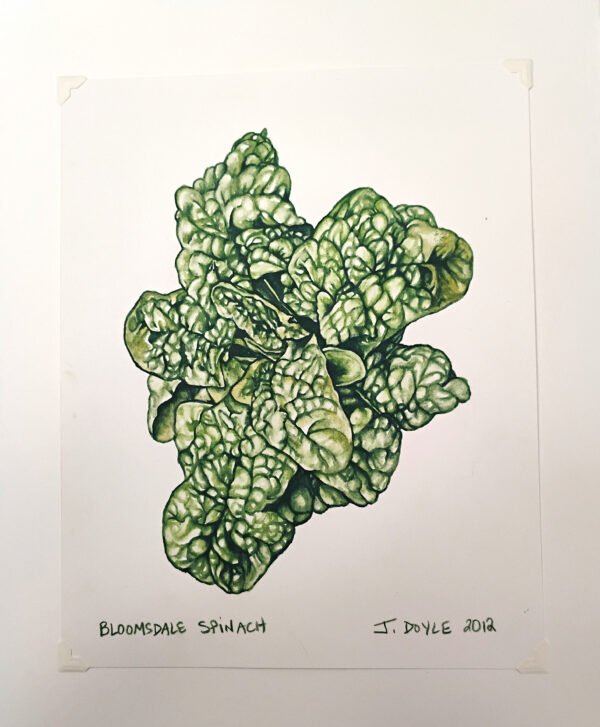 Bloomsdale Spinach - Original Gouache Painting - Image 2