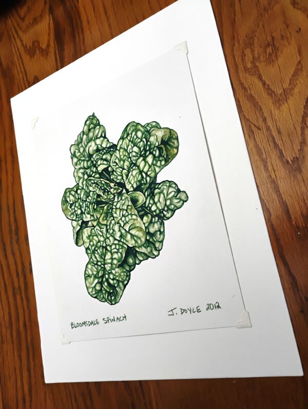 Bloomsdale Spinach - Original Gouache Painting - Image 3