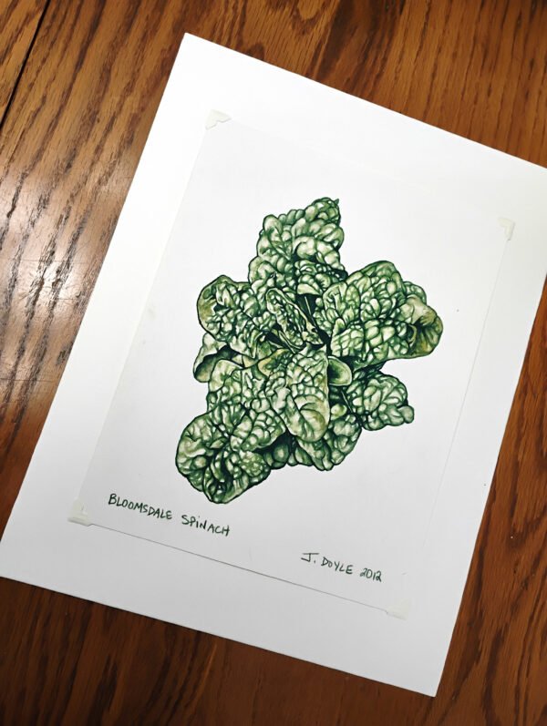 Bloomsdale Spinach - Original Gouache Painting - Image 4